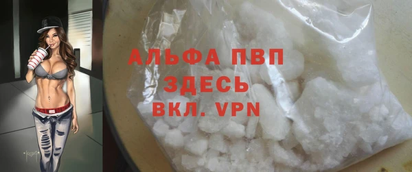 индика Абинск